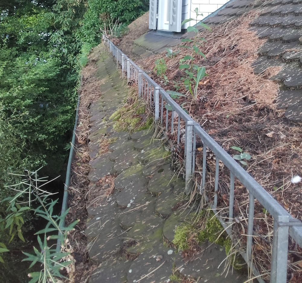 Dachkontrollen - Wyss AG Spenglerei Flachdach Blitzschutz