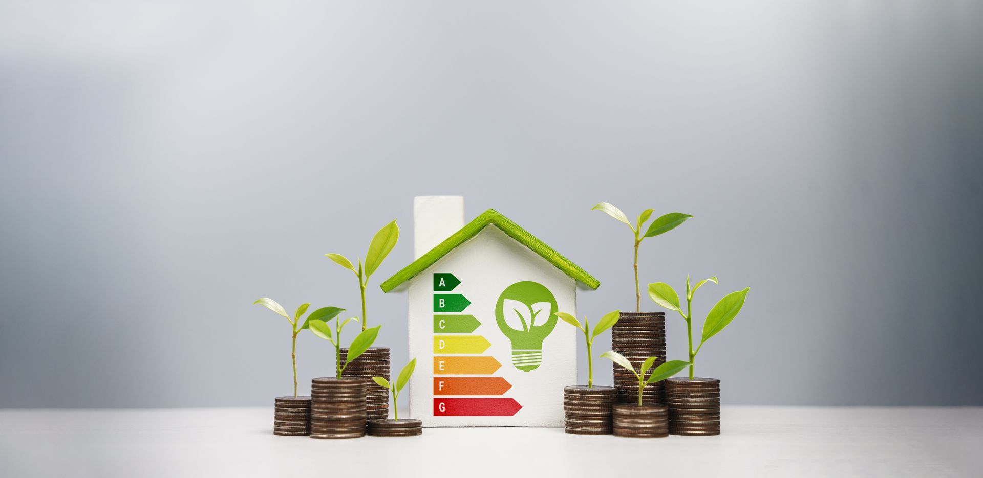 Maquette de maison avec un classement énergétique, des piles de billets et des plantes.