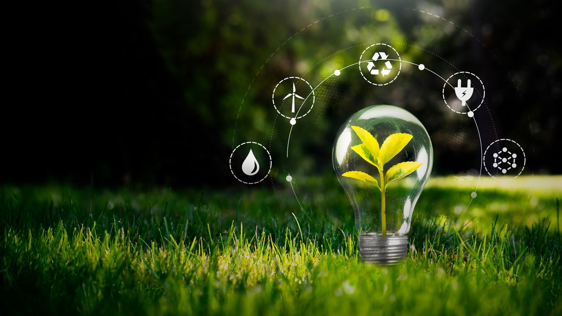 Ampoule avec une plante à l'intérieur, entourée d'icônes écologiques sur fond d'herbe verte.