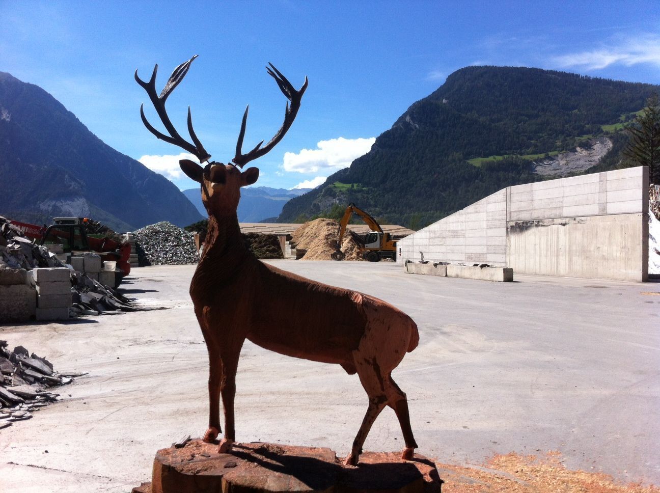 Cerf - RénovaBagnes