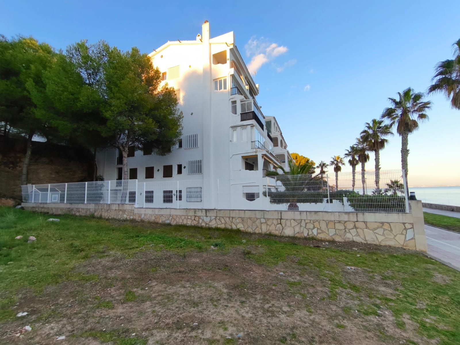 Edificio de apartamentos blanco en una colina cubierta de hierba con palmeras y el océano al fondo.
