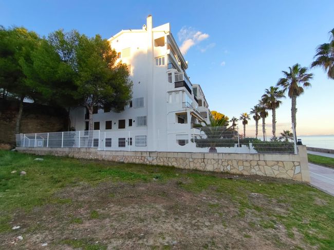Edificio de apartamentos blanco en una colina cubierta de hierba con palmeras y el océano al fondo.
