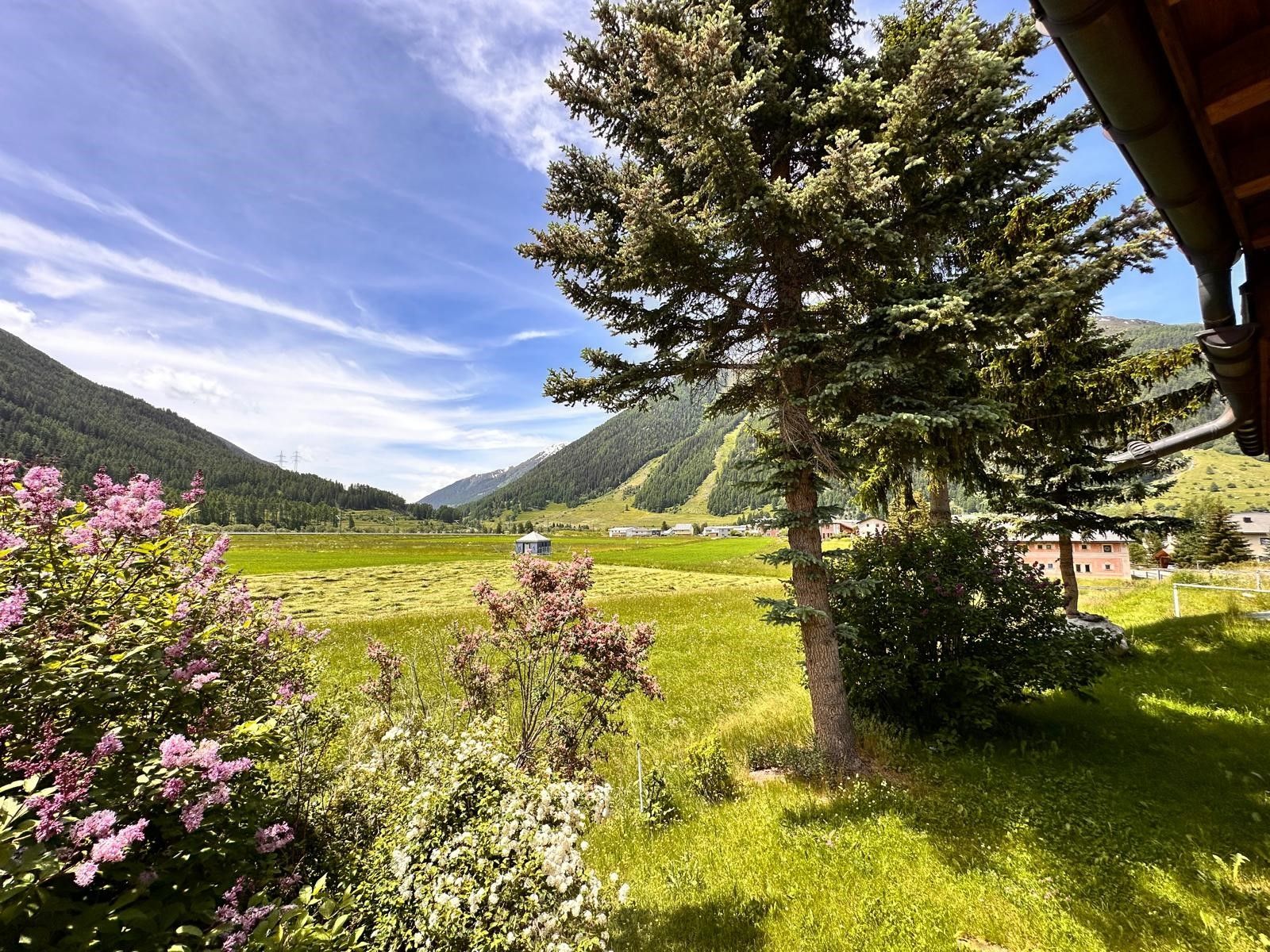 Hotel Pizzeria Selva