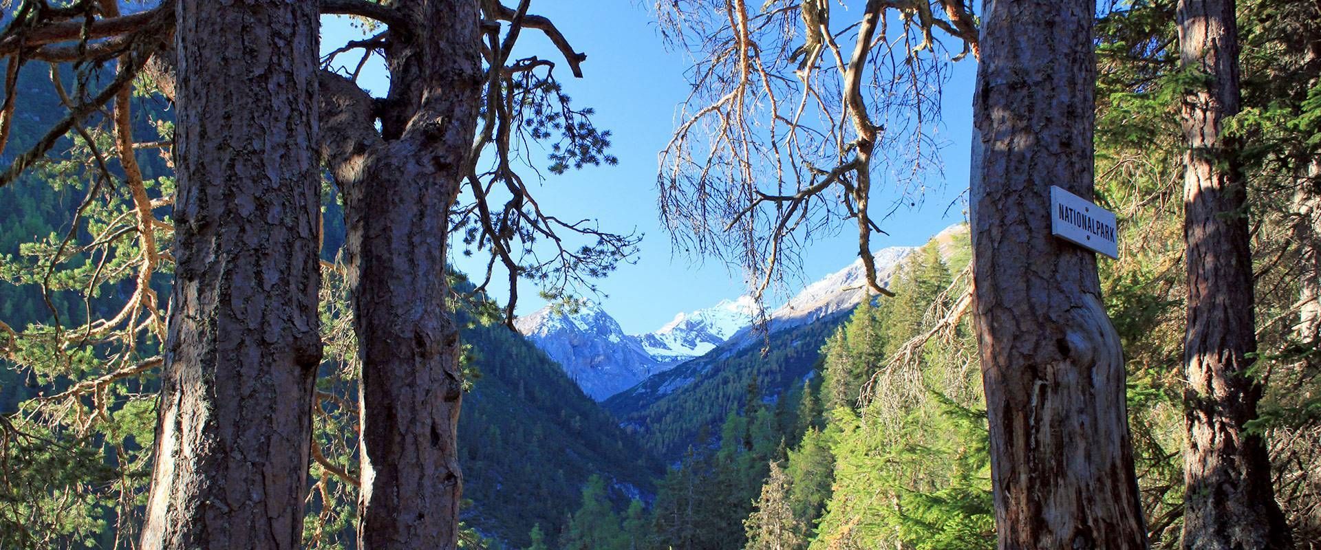 Hotel Pizzeria Selva  Zernez, Graubünden Aussicht