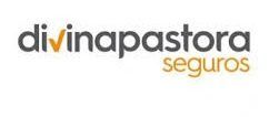 Divina Pastora Seguros logo in gray and orange.