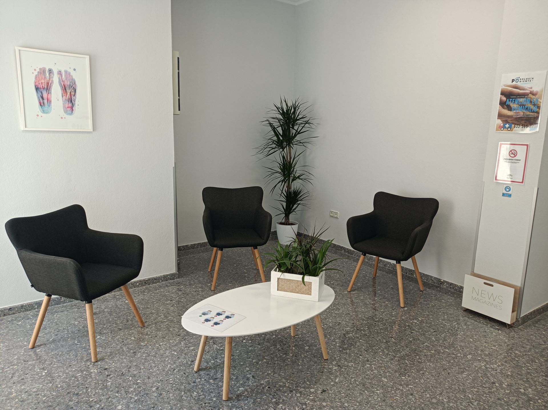 Sala de espera con tres sillas negras, mesa pequeña, planta y arte de pared con temática médica.