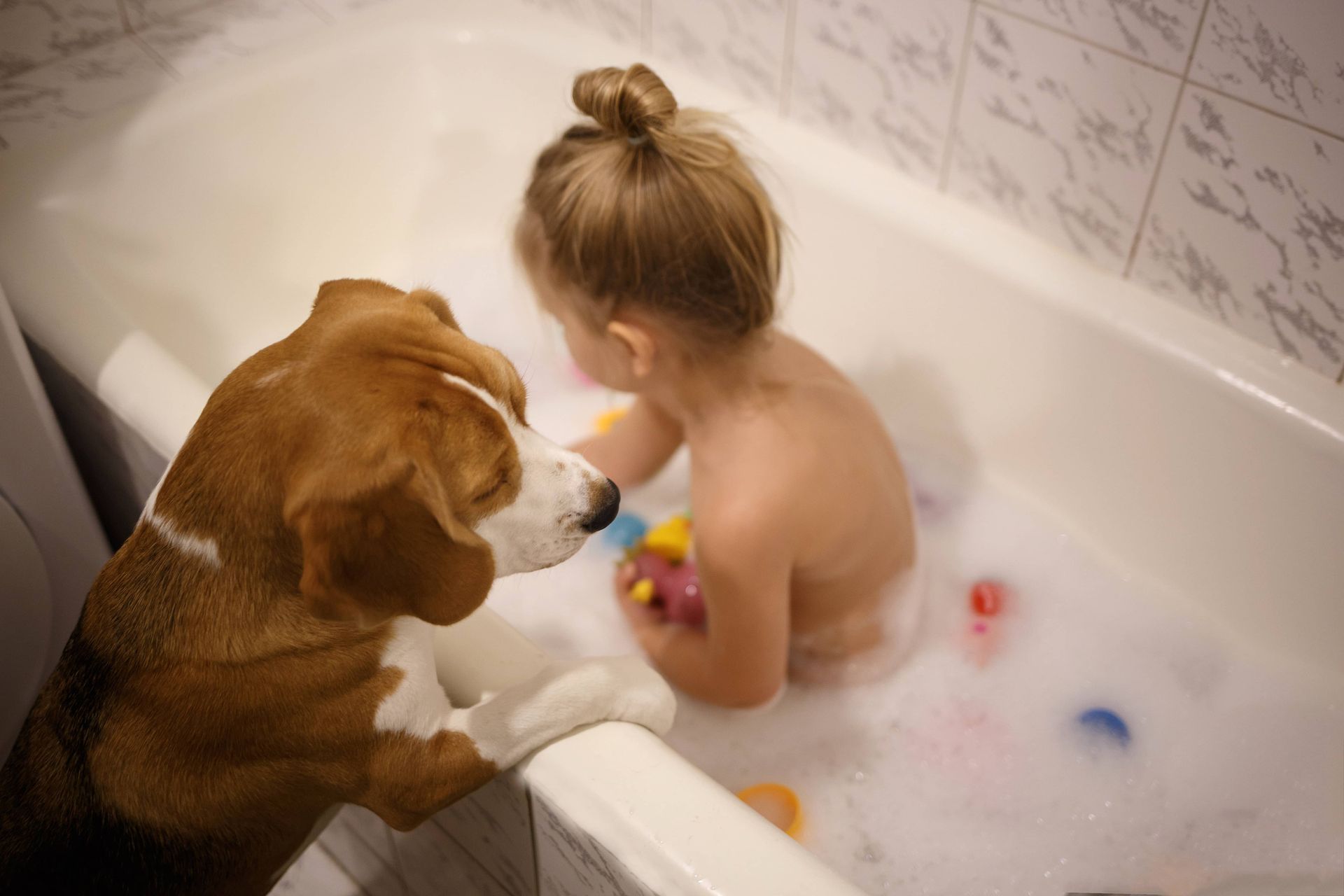 Un chien qui surveille un enfant en bas âge dans un bain avec des jouets de bain colorés