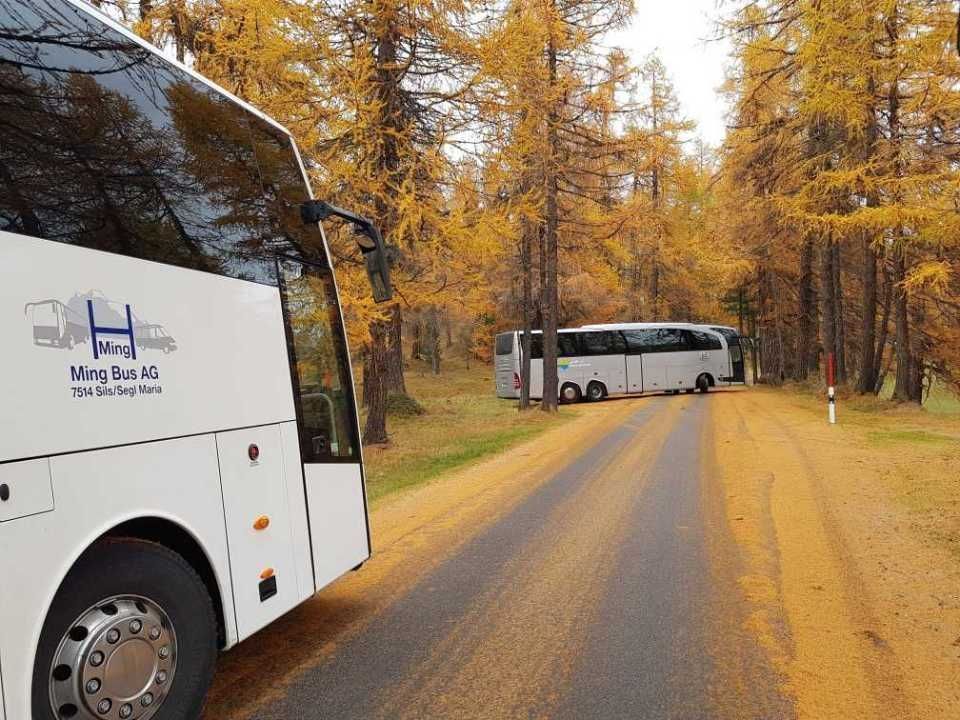 Ming Bus AG – Reisebusse