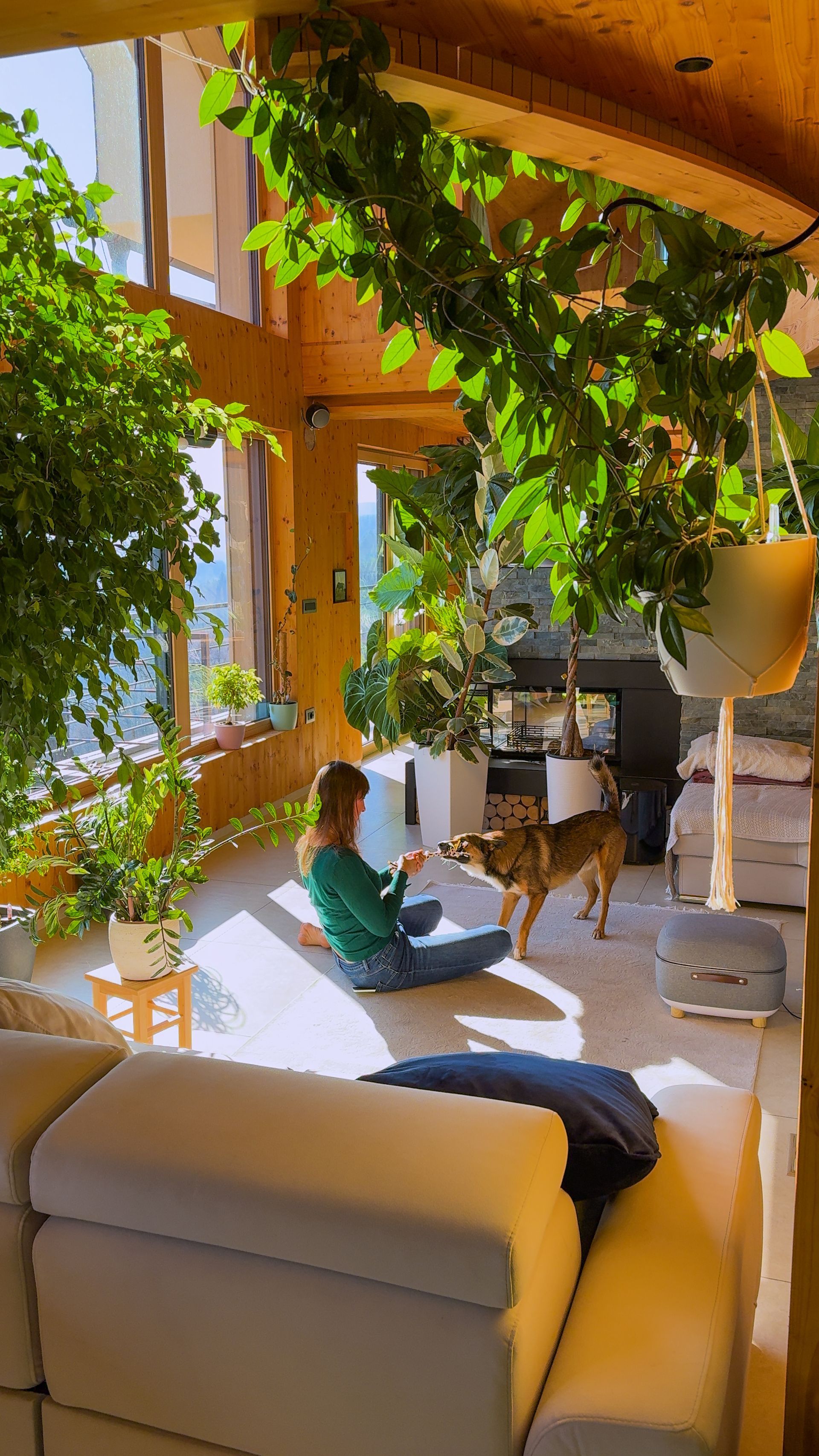 Une personne est assise sur le sol lumineux d'une véranda remplie de plantes, jouant avec un chien beige près de grandes fenêtres sous un plafond en bois.