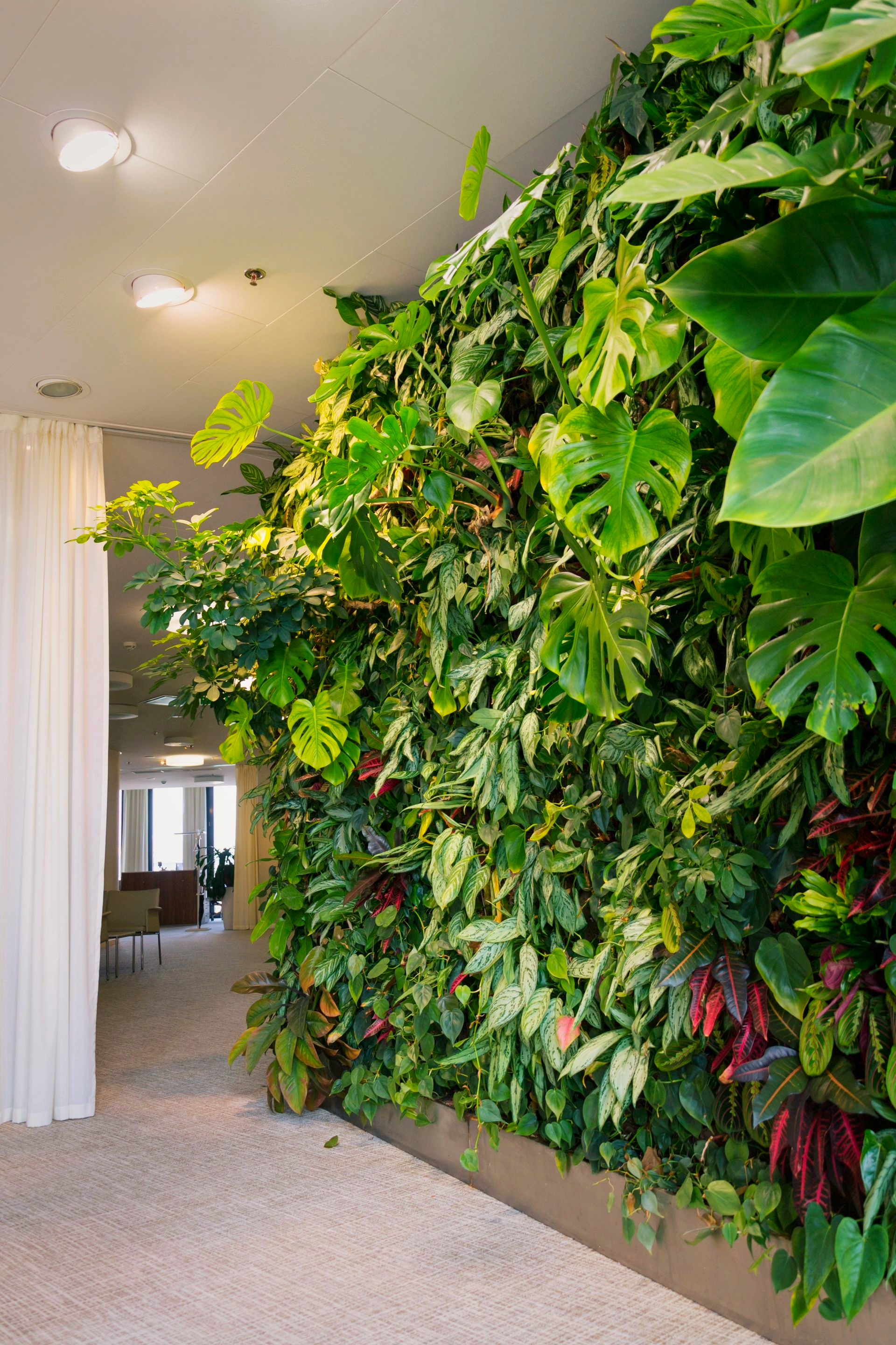 Un luxuriant mur végétal vertical d'intérieur, composé de diverses plantes tropicales vertes et rouges, dans un espace intérieur lumineux et moderne.