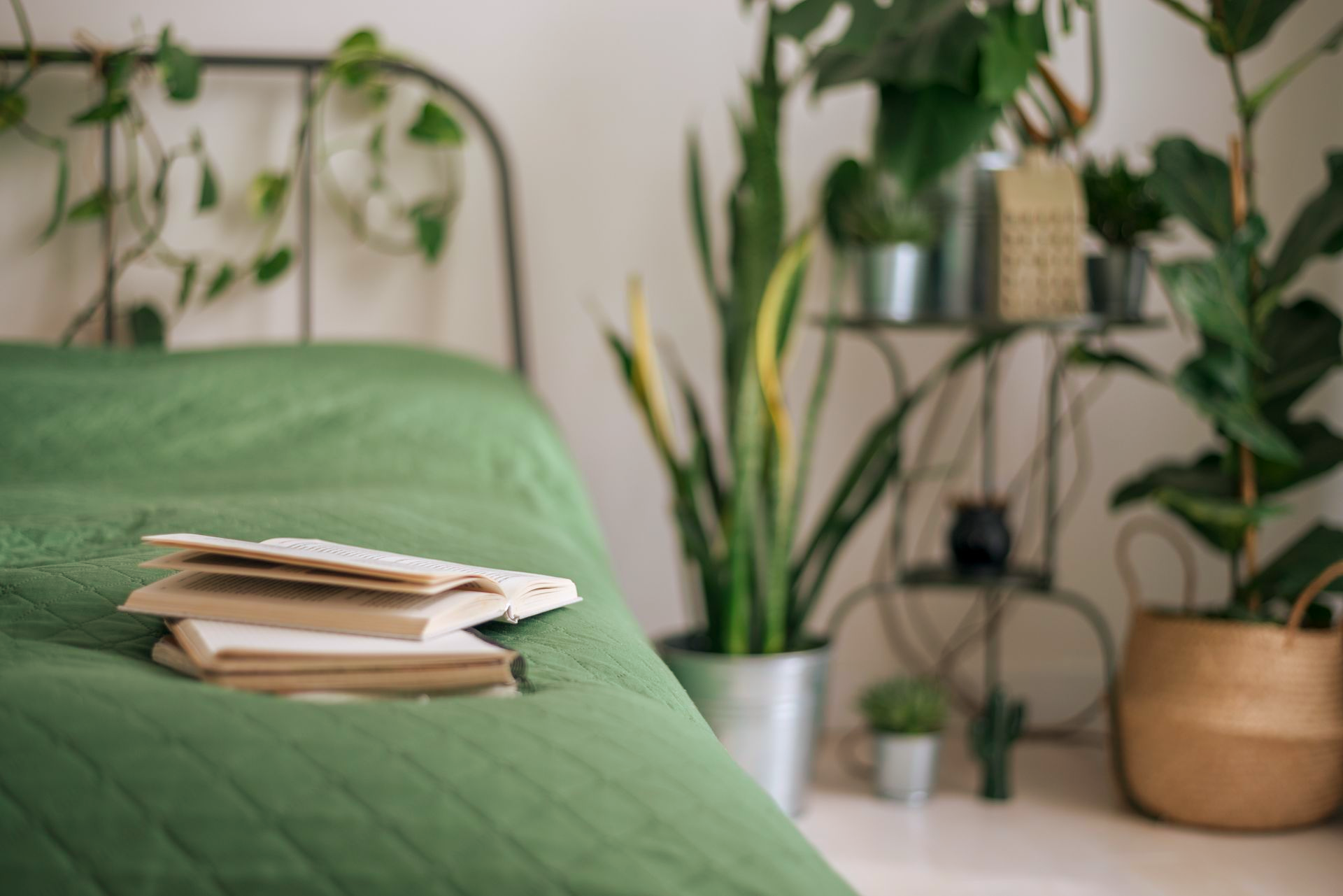 Des livres empilés sur un couvre-lit matelassé vert, avec des plantes d'intérieur dans une chambre lumineuse et chaleureuse.