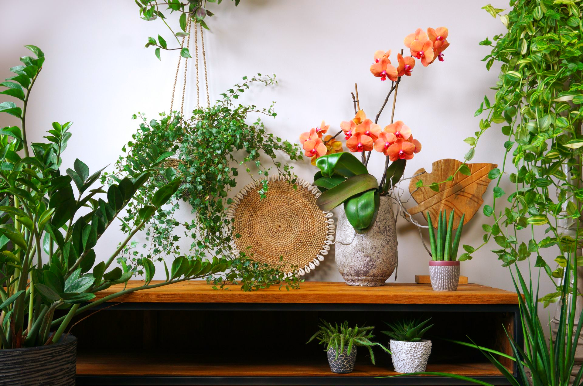 Une étagère en bois supportant diverses plantes d'intérieur en pot et un vase contenant des orchidées orange éclatantes, devant un mur blanc.