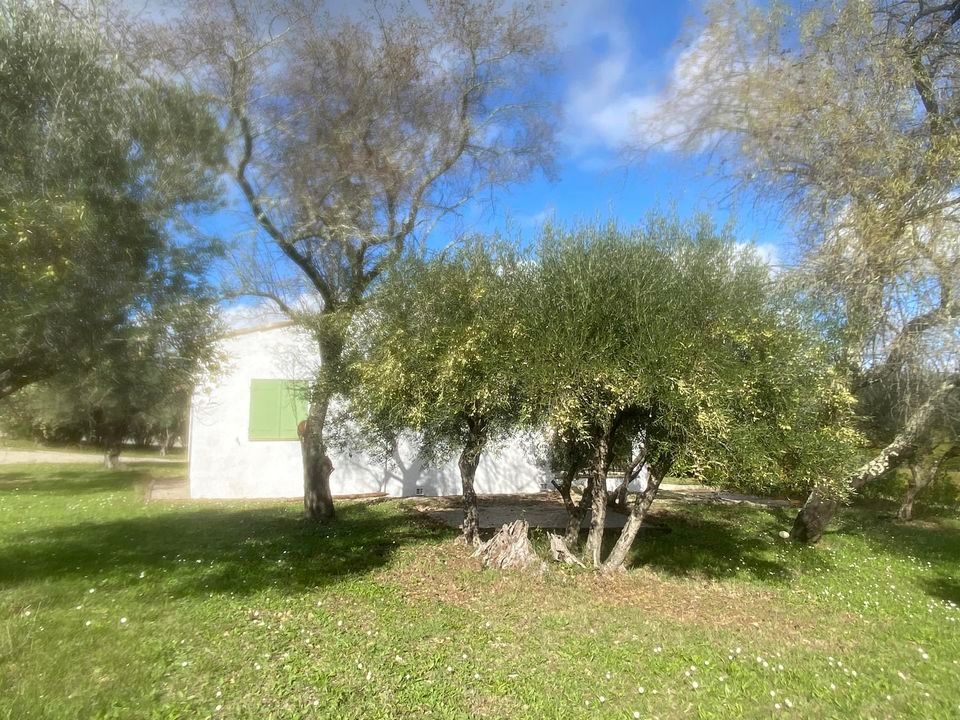 Jardin de la maison à la location