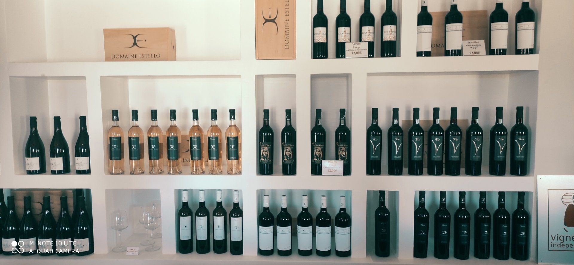 Alignement des bouteilles du domaine