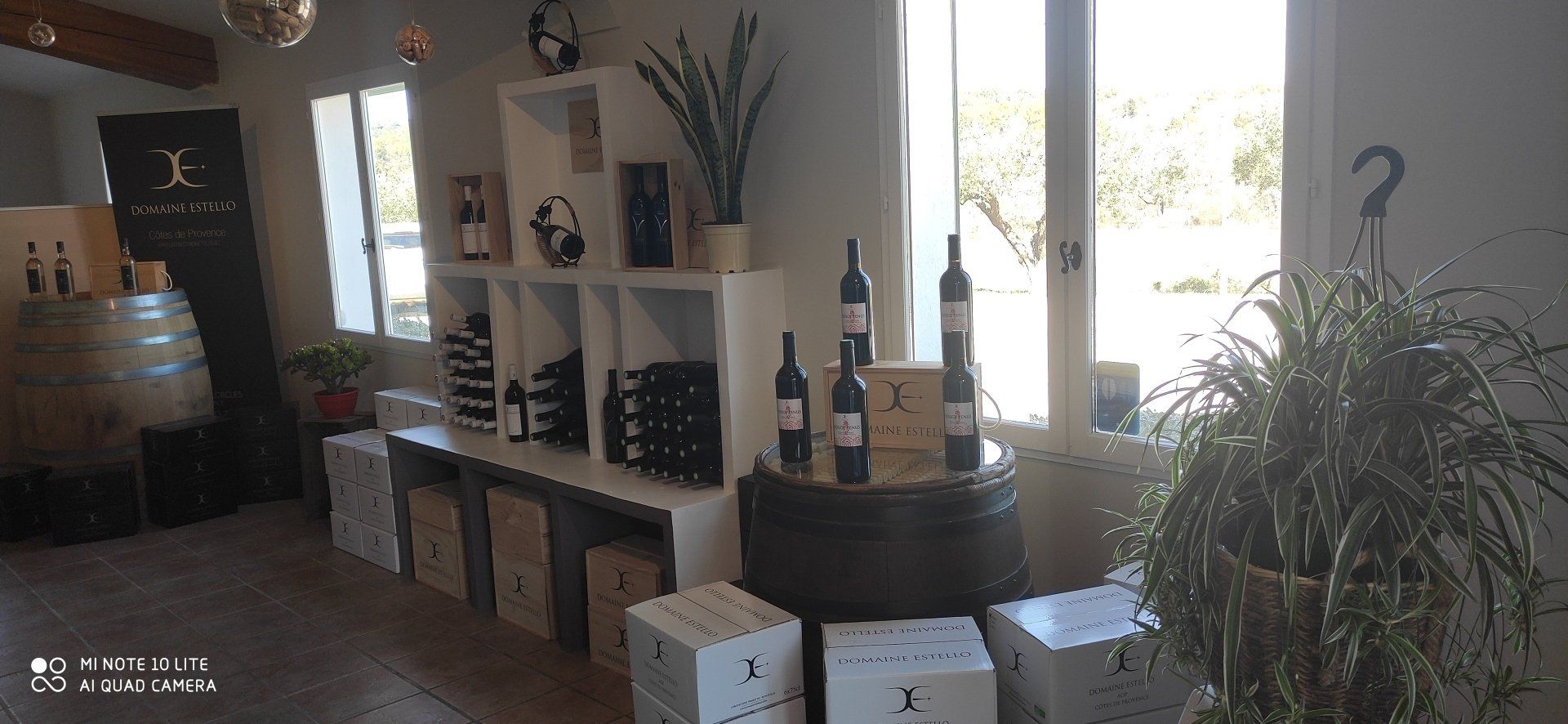 Présentation des bouteilles du domaine