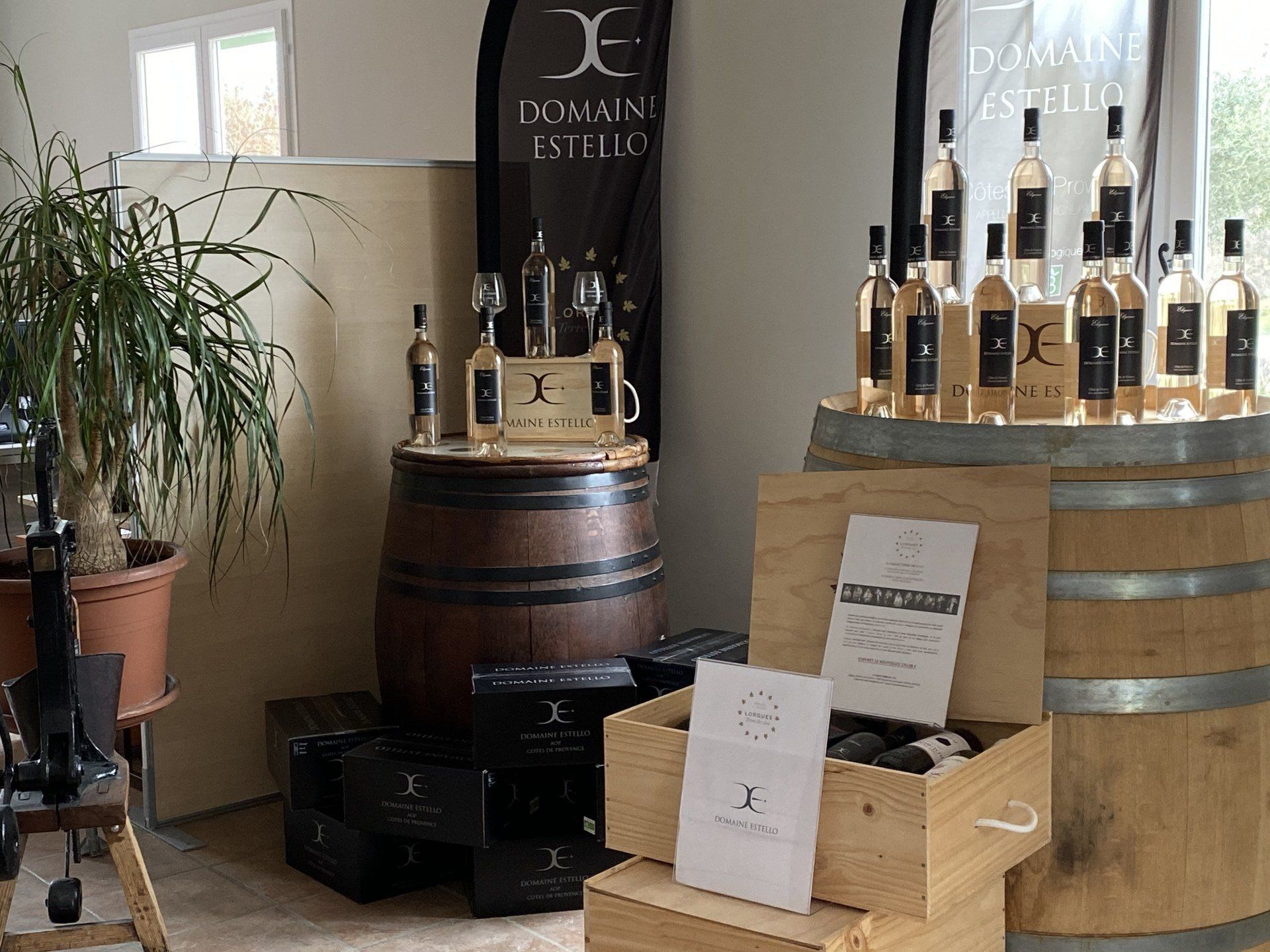 Vin blanc et tonneaux avec des verres