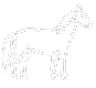 Un dibujo en blanco y negro de un caballo hecho de puntos sobre un fondo blanco.