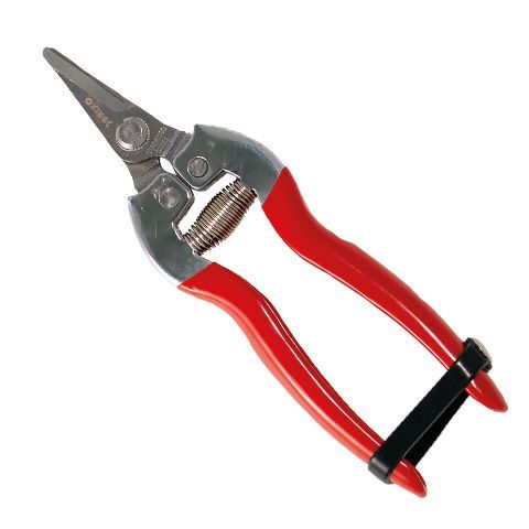 Un par de tijeras con mangos rojos sobre un fondo blanco.