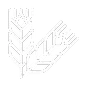 Un dibujo en blanco y negro de una planta de trigo sobre un fondo blanco.