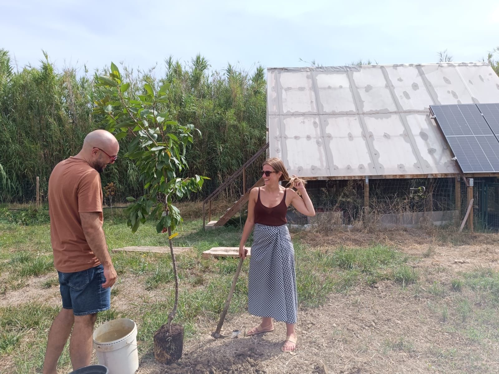 Dos personas de pie al aire libre junto a un árbol joven, con una casa pequeña y paneles solares al fondo.
