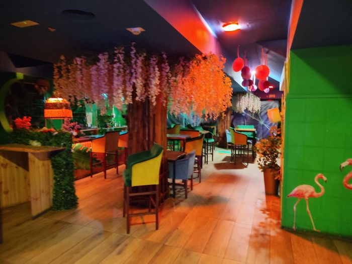 Interior colorido de restaurante con flores colgantes, mesas de madera y una pared verde decorada con flamencos