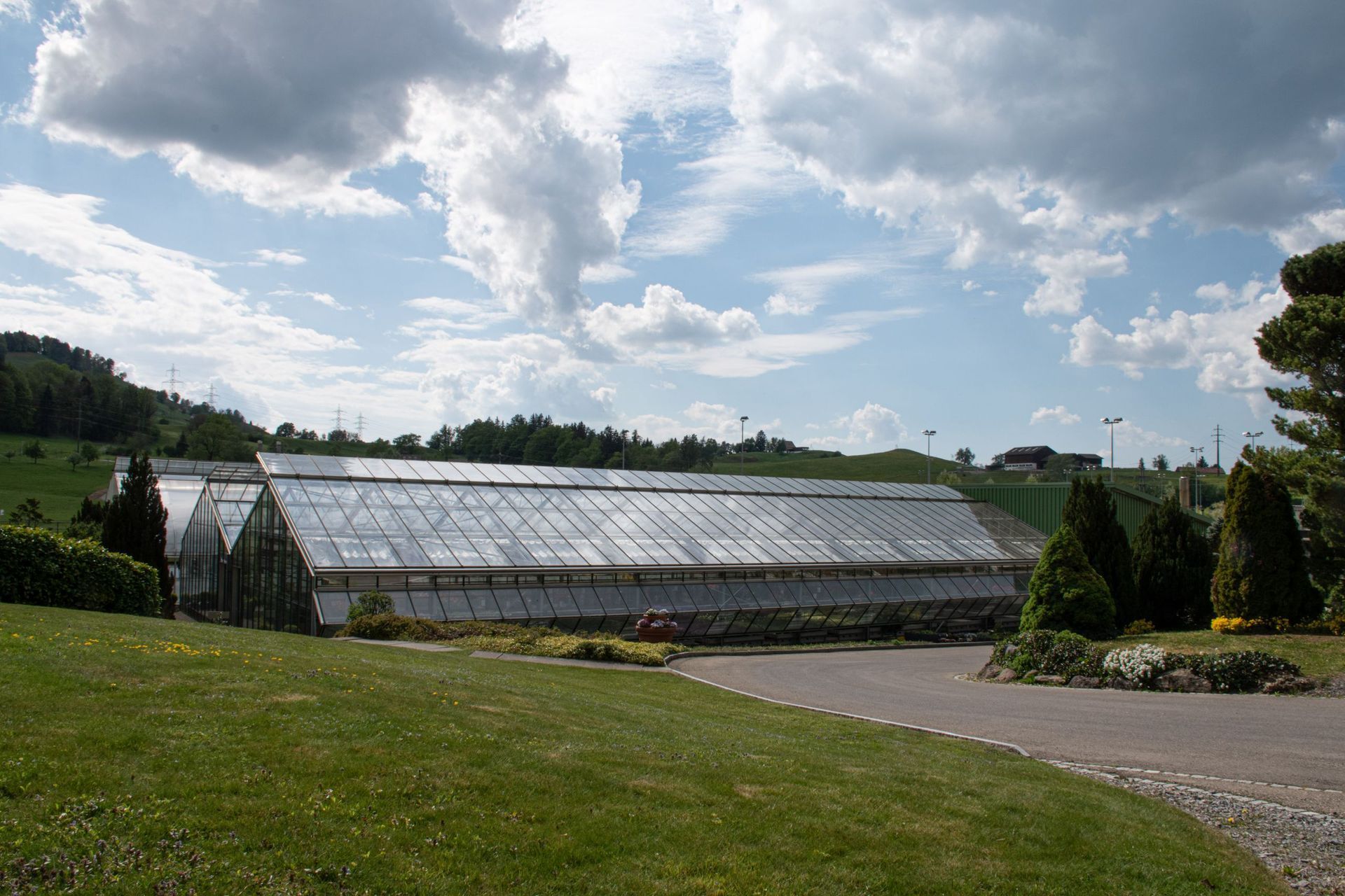 Inmitten einer Wiese steht ein Gewächshaus. Foto von der Gärtnerei Forrer