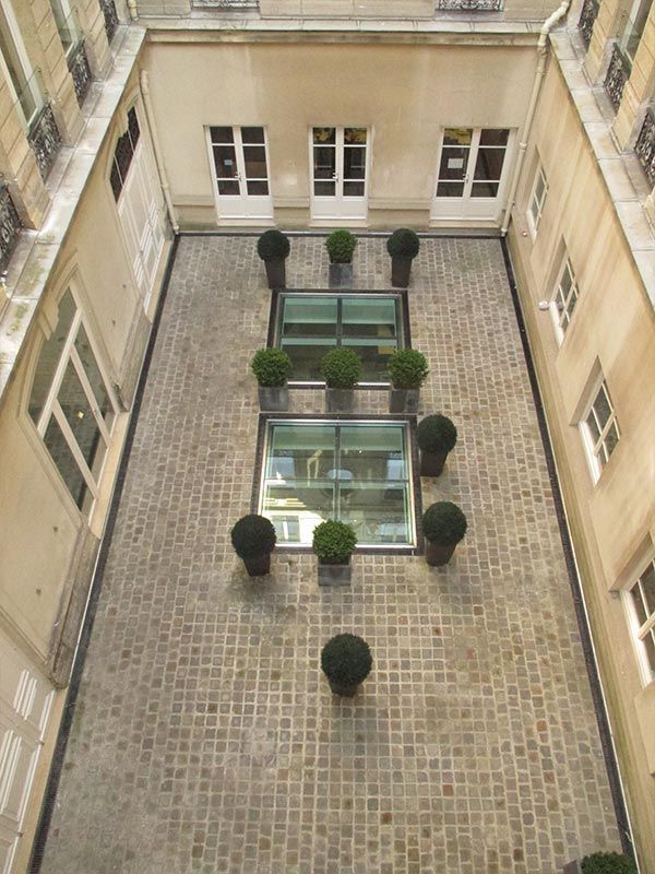 Vue en plongée d'une cour en pierre avec deux puits de lumière en verre, entourée d'arbustes ronds en pot, dans des immeubles de style parisien.