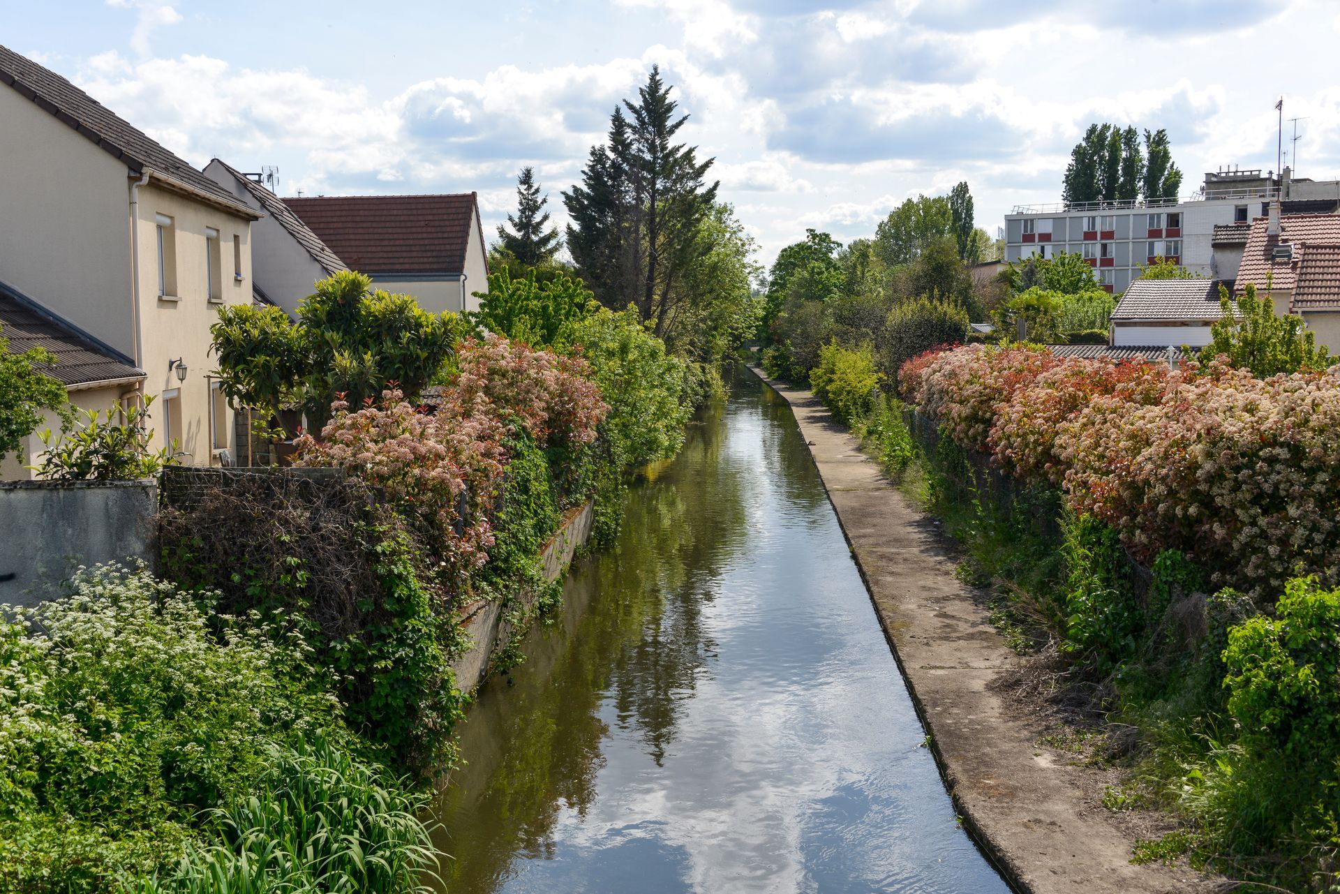 Rivière de l’Orge à Savigny sur Orge.