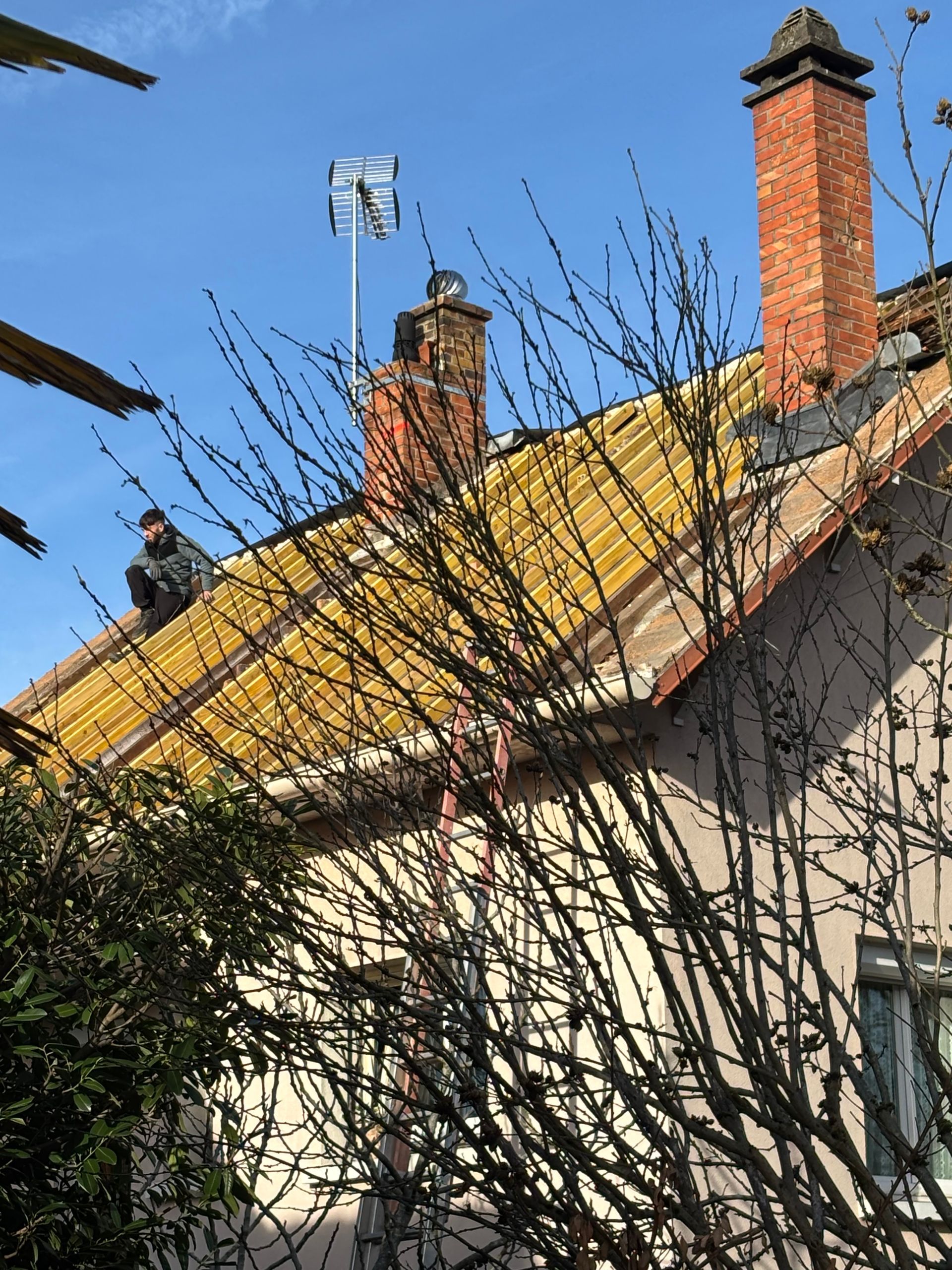 Toit de maison aux tuiles jaunes, cheminées en briques et branches d'arbres dénudées sur fond de ciel bleu