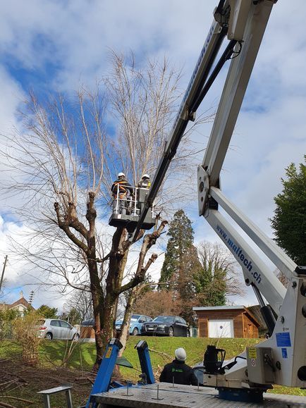 Immeubles Services +