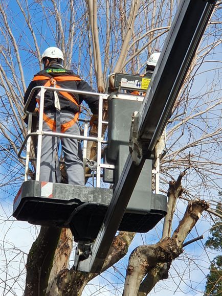 Immeubles Services +