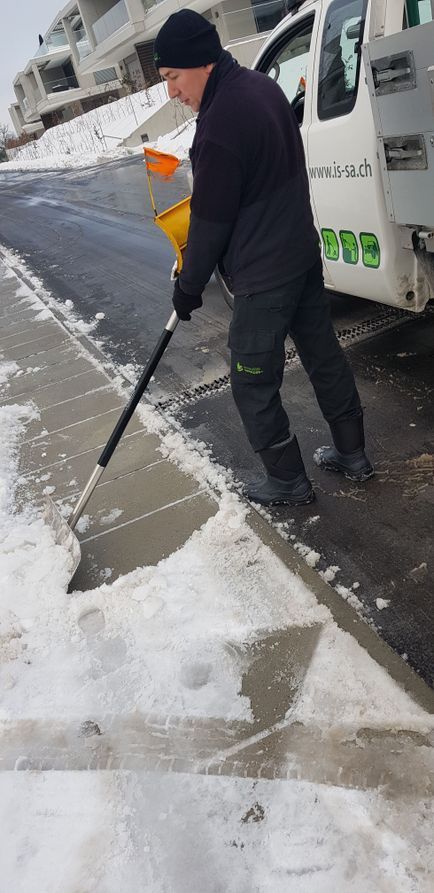 Immeubles Services +