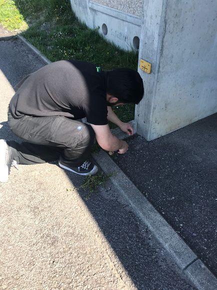 Immeubles Services +