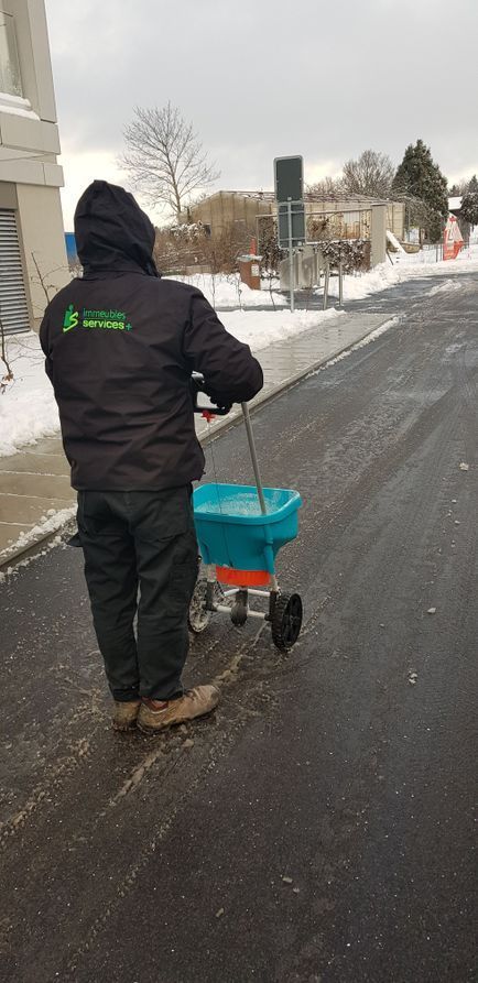 Immeubles Services +