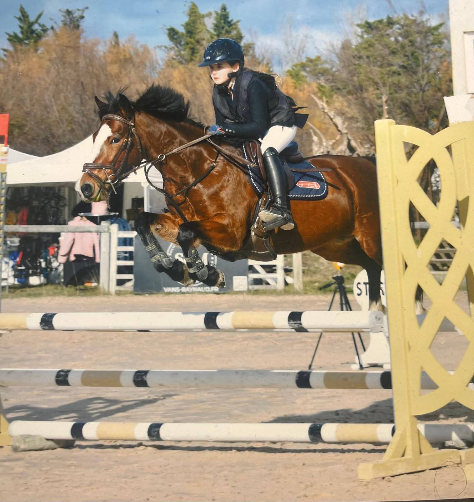 Saut d'obstacle lors d'un concours