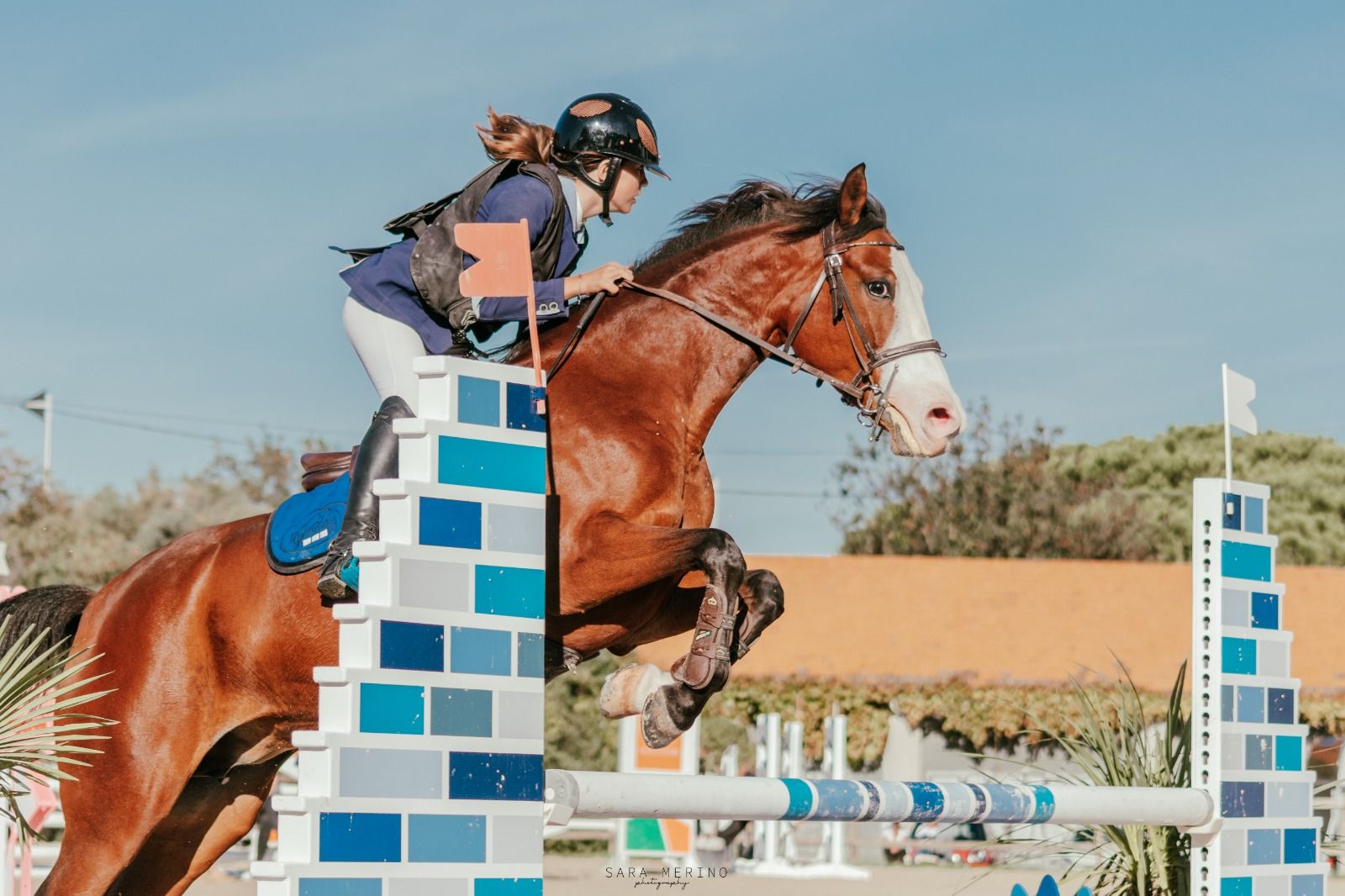 Saut d'osbtacle en concours