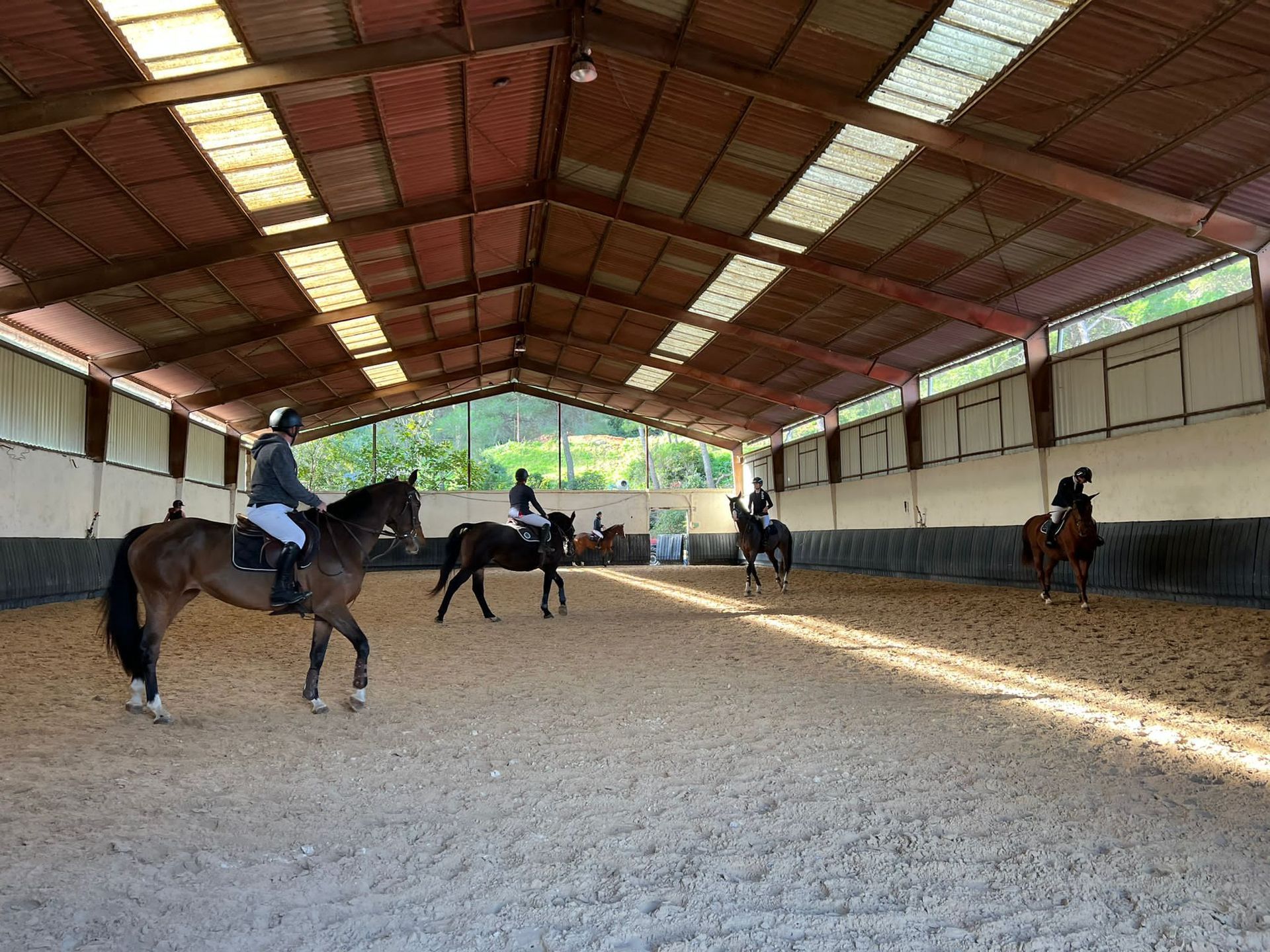 Travail en manège
