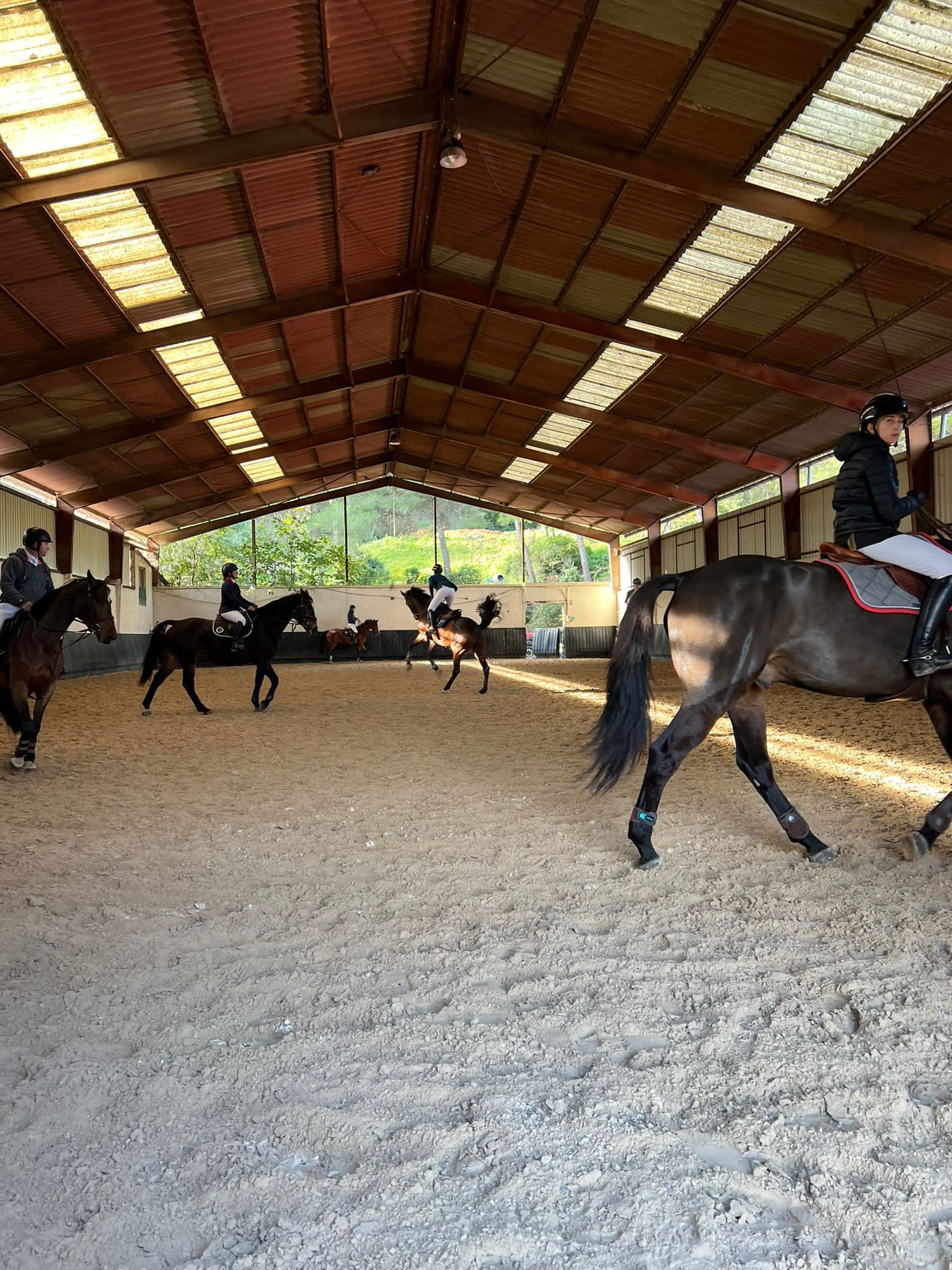 Travail en groupe en manège