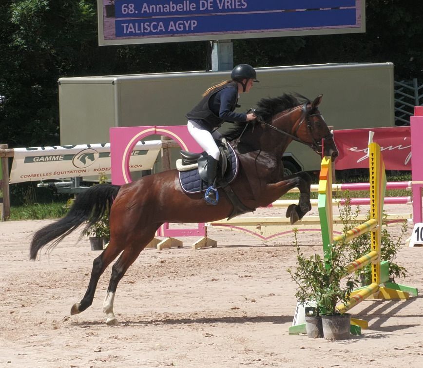 Compétition équestre