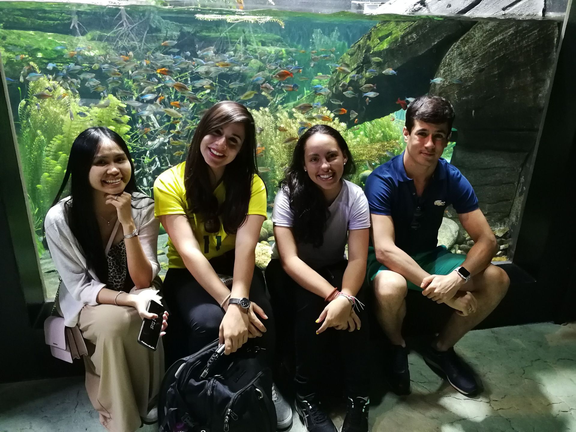 Language Links Lausanne - Certification ISO 29990:2010