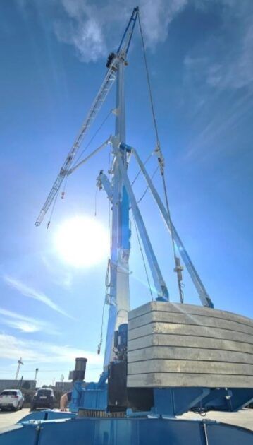 Grue bleue lestée se détachant sur un ciel ensoleillé et lumineux.
