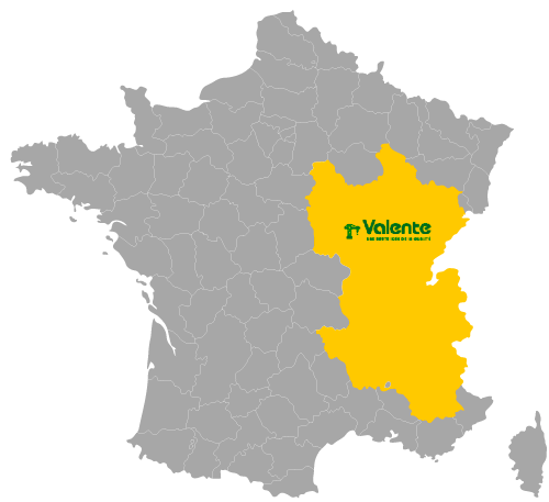 Carte de France ; la région Auvergne-Rhône-Alpes est mise en évidence en jaune. Le logo Valente est visible.