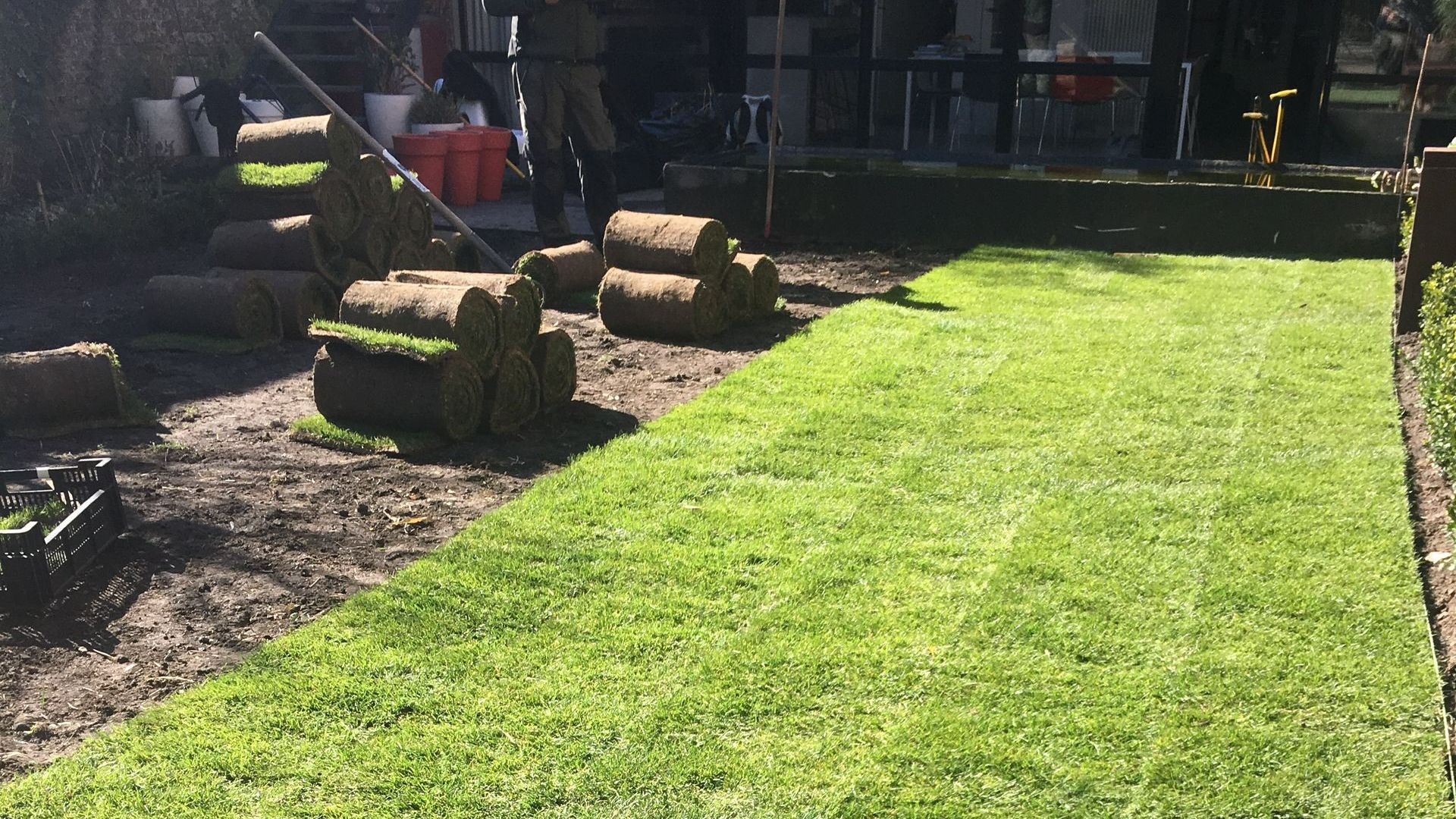 Pose de rouleau de gazon