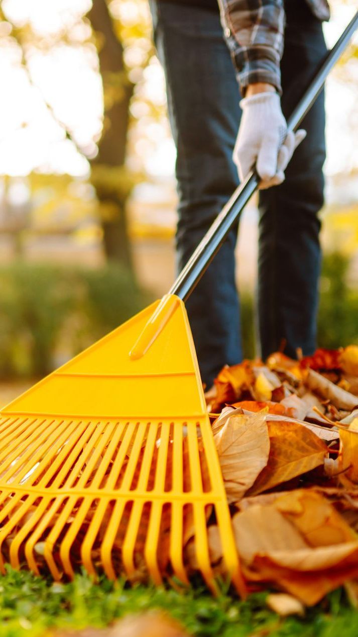Professionnel qui ramasse des feuilles