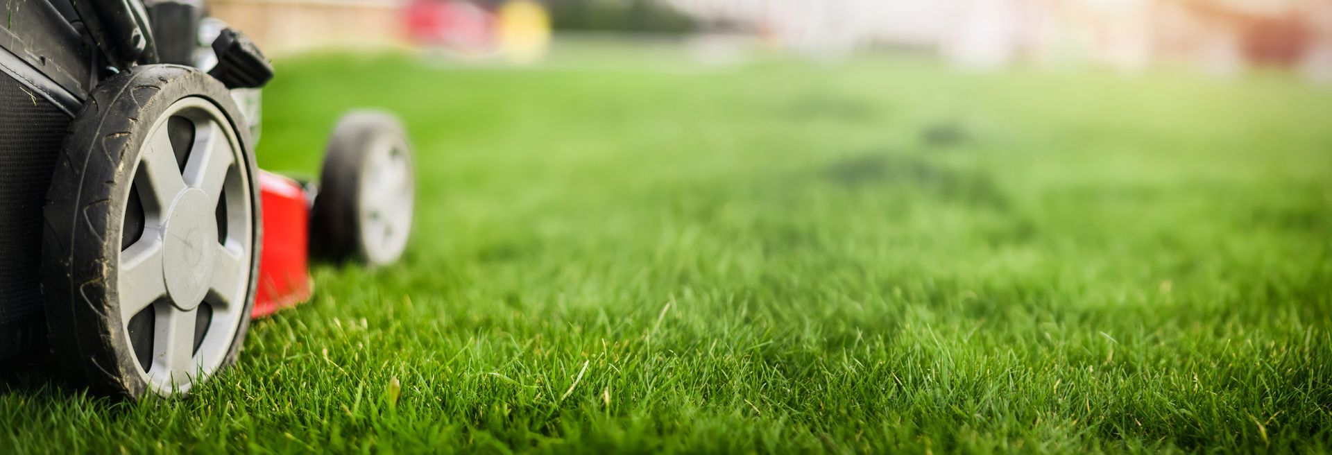 Gros plan sur la roue d'une tondeuse à gazon sur de l'herbe verte dans un jardin