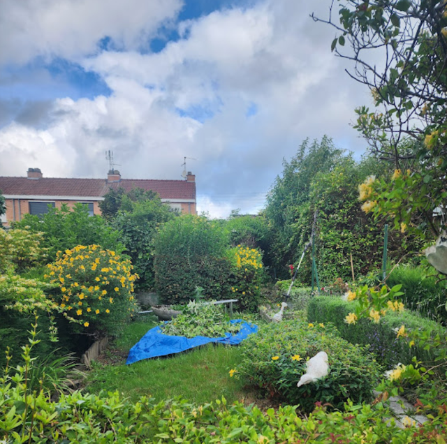 Jardin avec des fleurs jaunes, une bâche bleue sous un ciel nuageux.