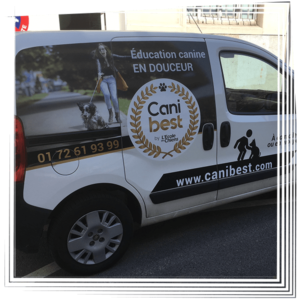 Camionnette blanche de dressage canin Cani Best avec un grand logo et des inscriptions en français, garée dans la rue.