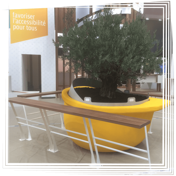 Décoration intérieure avec un grand arbre dans un pot jaune et un panneau d'accessibilité en arrière-plan