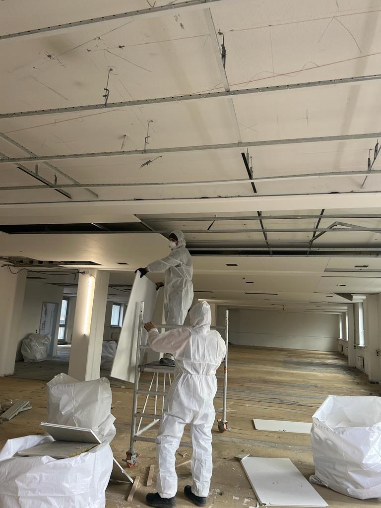 Schadstoffsanierung und Entsorgung von Paneelen