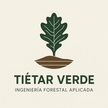 El texto negro "beedigital" en una fuente redondeada y sin serifa sobre un fondo blanco.